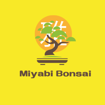 MIyabi Bonsai